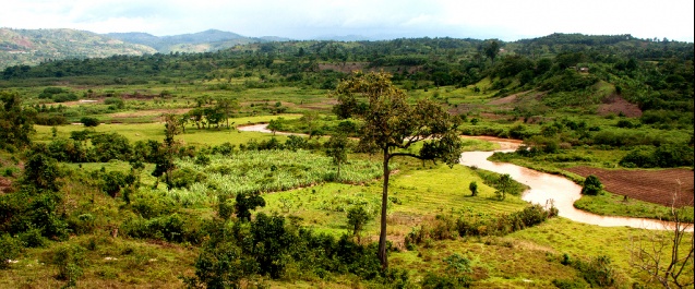 Ishasha valley