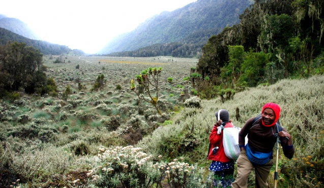 Rwenzori mountains