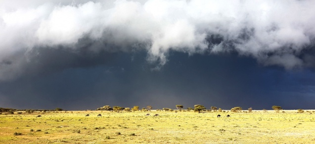 Storm brewing on the Serengeti