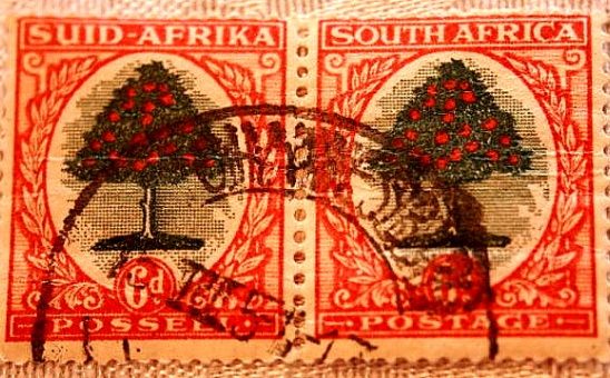 Why not have a sunny Christmas in South Africa?