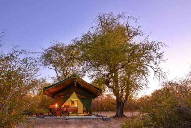 Bush camp safari