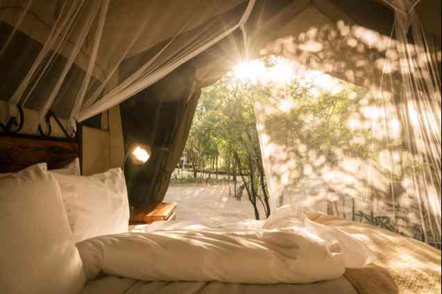 Tented camp safari bedroom