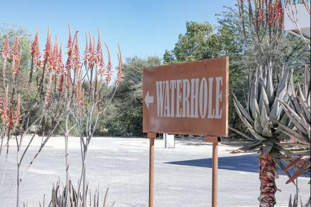 Okaukuejo waterhole, etosha national park