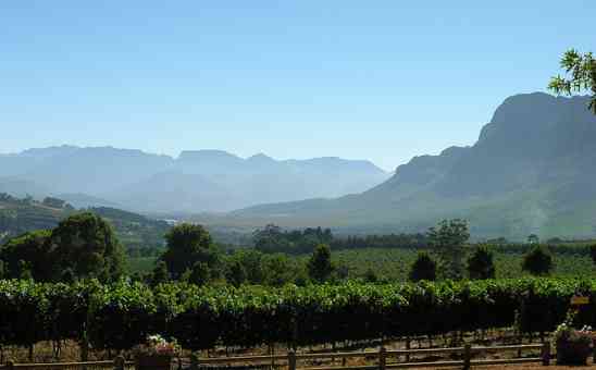 15 of the Finest Wine Farms in the Cape Winelands Region