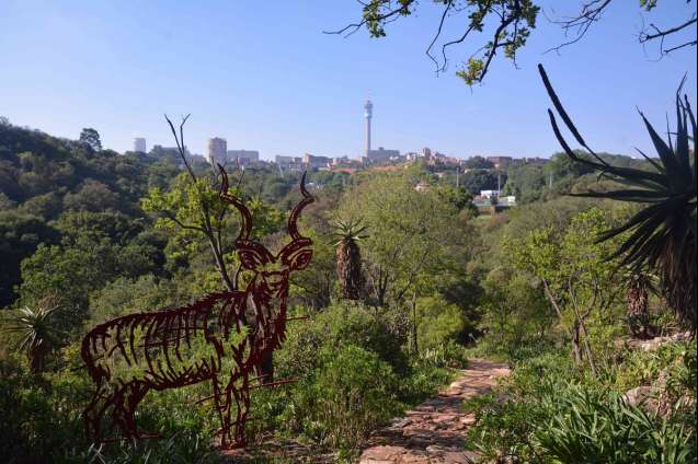 The wilds Johannesburg, view towards the city