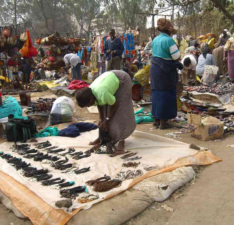 Budgeting Tips for African Safaris How to Save on Safaris Budget Travel Advice