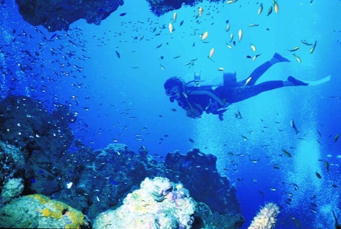 Best Budget Adventure Activities In Cape Town Things To Do