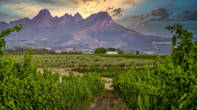 Franschhoek Wine Tram