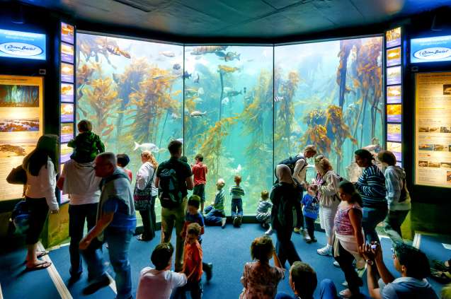 Two Oceans Aquarium
