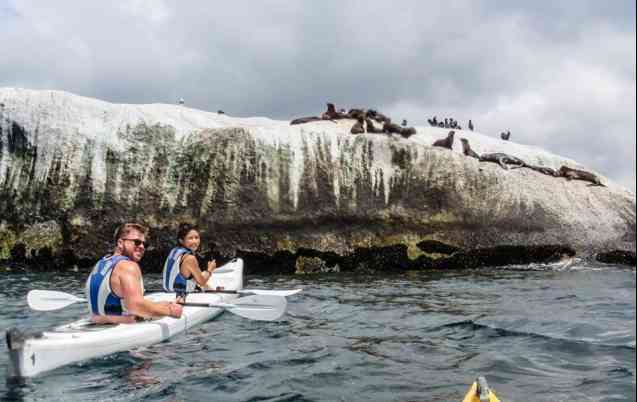 Cape Town activities - kayaking with penguins