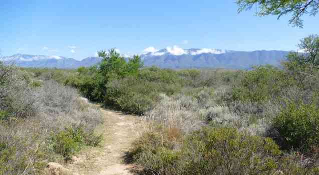 Bontebok, Swellendam, South Africa
