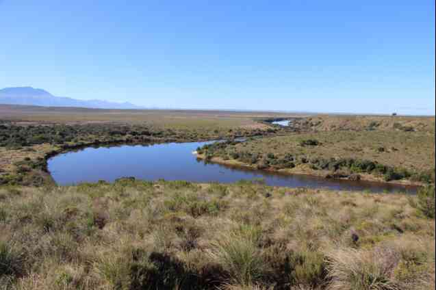 Breede river