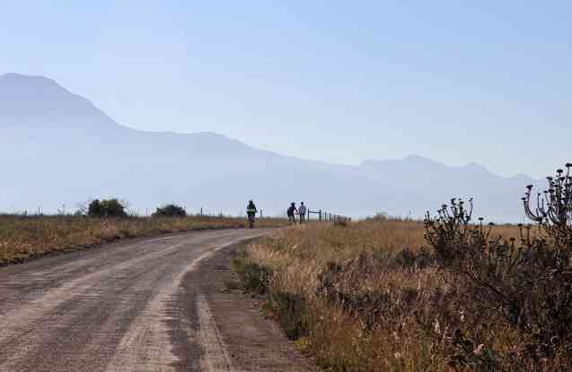 Cyclists in Bontebok National Park