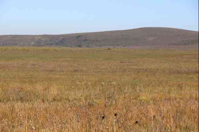 Fynbos, Bontebok National Park