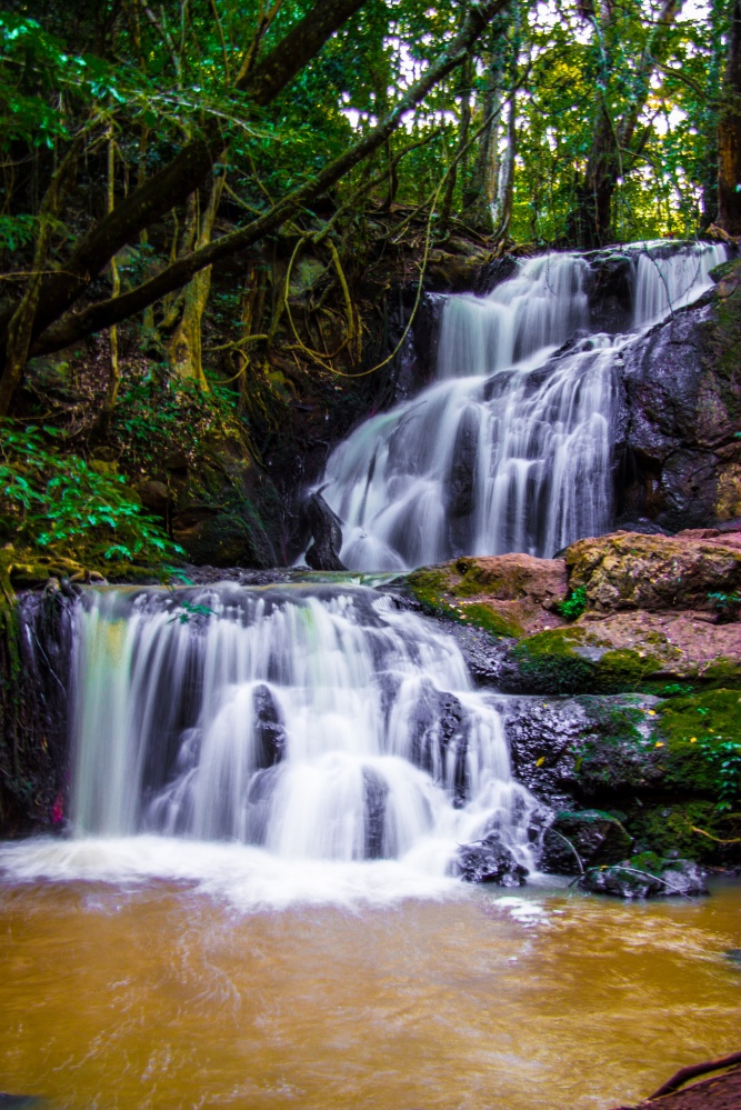 Karura Forest, Nairobi