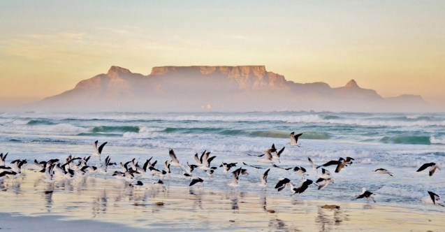 Table Mountain from Blouberg