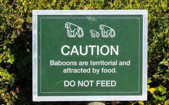 The Safari Anti-Bucket List - 8 Things to Avoid in Africa & Helpful Alternatives
