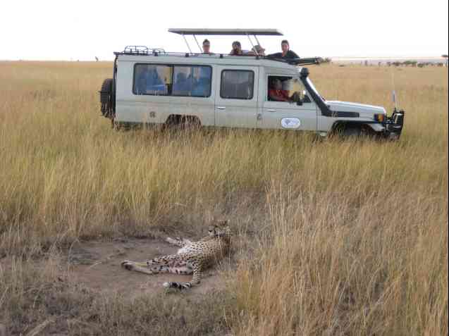 Masai Mara National Park