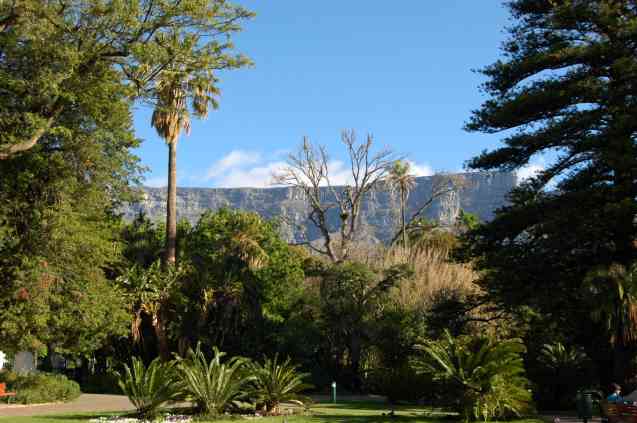 Cape Town Company Gardens