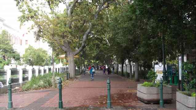 Government Avenue