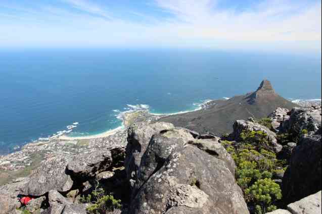 Cape View