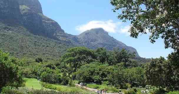 Kirstenbosch Botanical Gardens in Cape Town