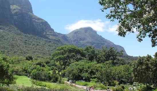 Welcome to Paradise: Kirstenbosch Botanical Gardens in Cape Town