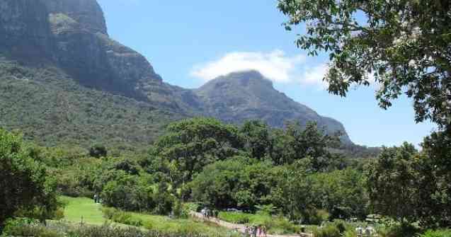 Kirstenbosch Botanical Gardens in Cape Town