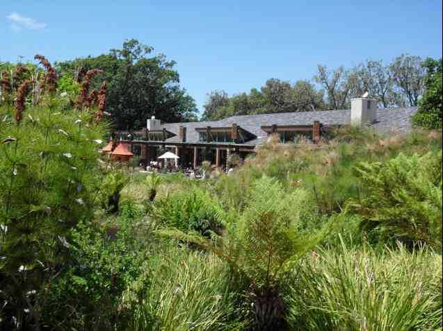 Moyo, Kirstenbosch 