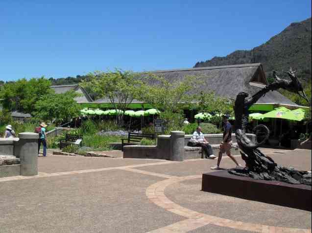 Tea Garden in Kirstenbosch 