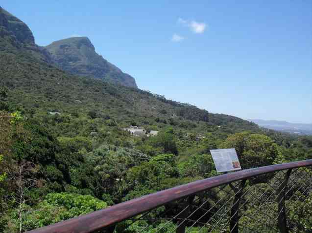 View from Boomslang