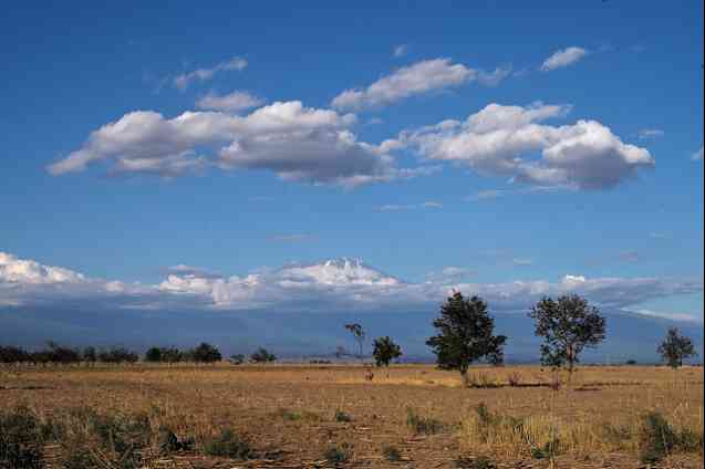 Kilimanjaro