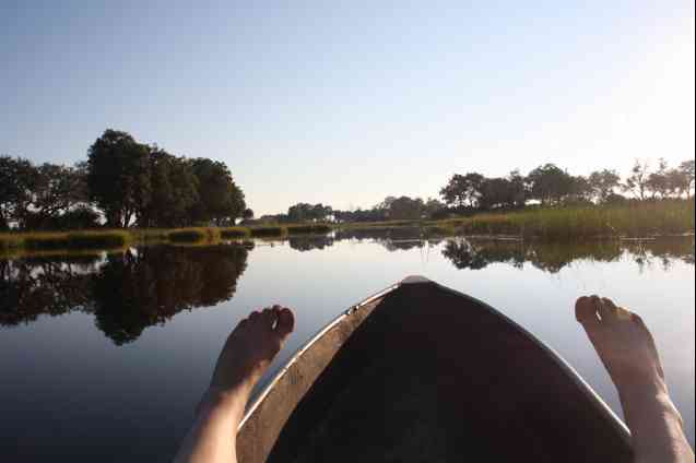 Relaxing in Okavango Delta