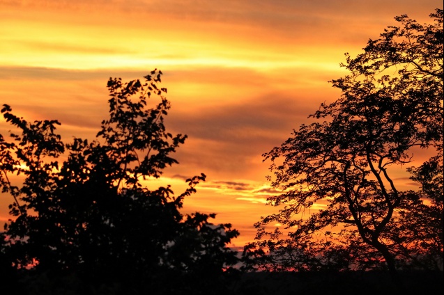 African sunset