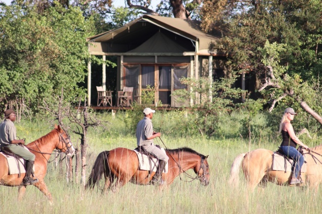 Horse riding at morswari camp