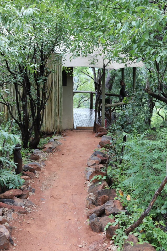 Goha hills camp