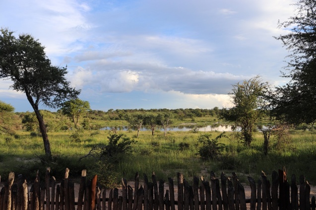 View from tuskers camp