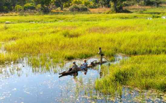 6 Tips for an Eco-Safari in Africa: Eco-Friendly Travel Ideas