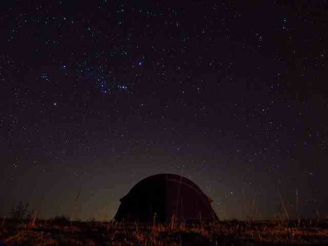 Starlight Camping