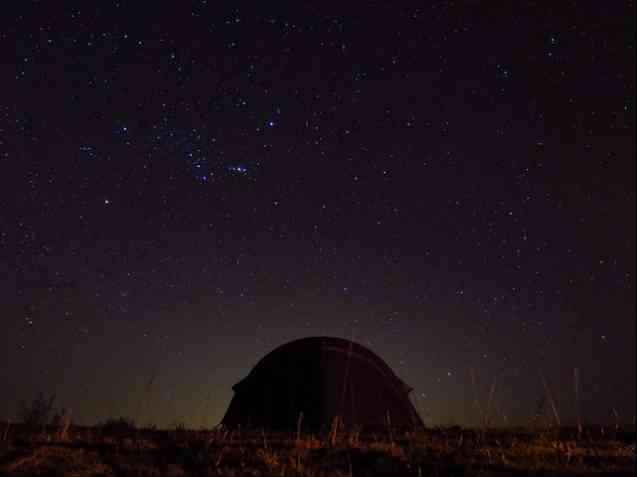 Starlight Camping