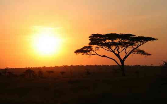 16 Sublime Sundowner Spots to Visit on Your African Safari