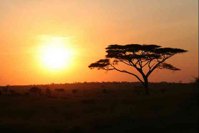 African Sunset