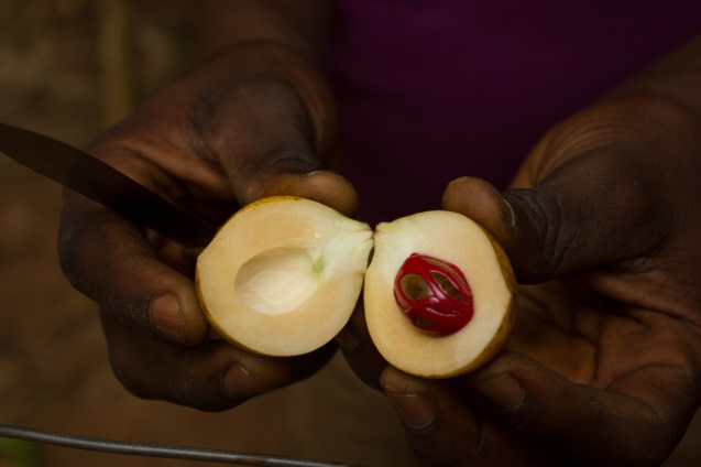 Spice tour in Zanzibar