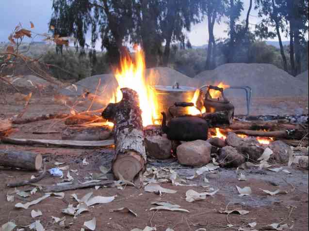 Bush Cooking