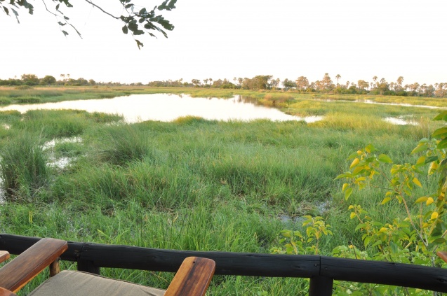 Delta view