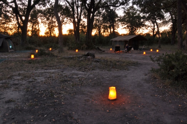 Moremi lantenlit camp