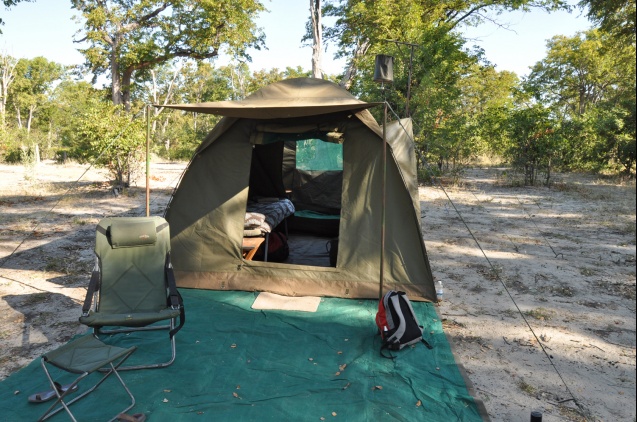 Moremi tent