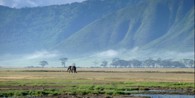 Majestic Ngorongoro Crater in Tanzania