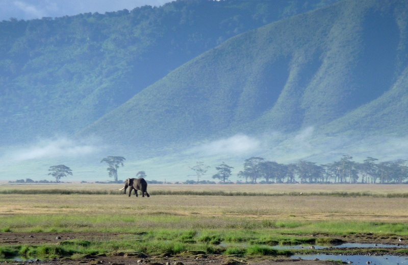 Ngorongoro Crater Tours | Tanzania Budget Safaris | Africa Travel