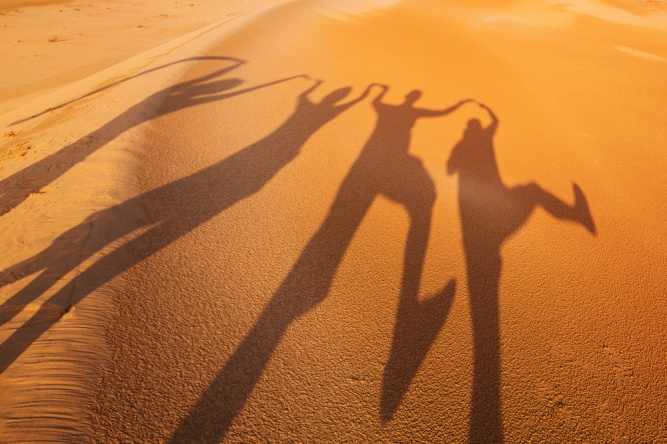 Best value overland safaris